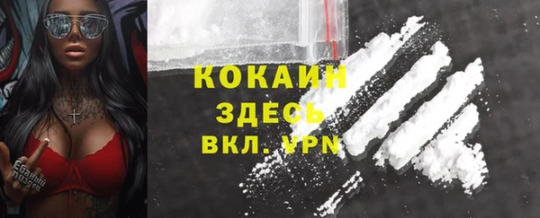 стаф Кукмор