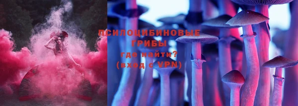дживик Ессентукская