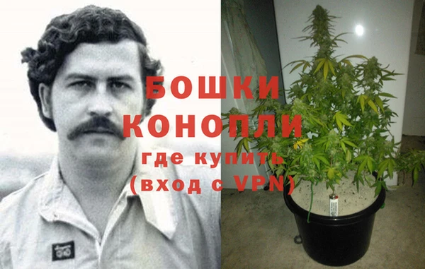 стаф Кукмор