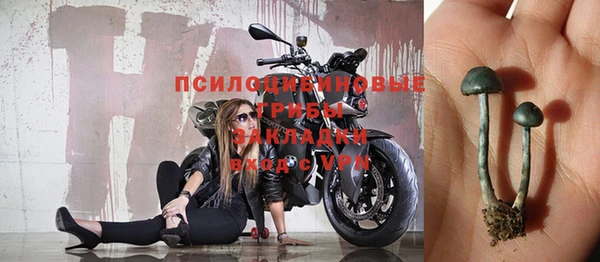 стаф Кукмор