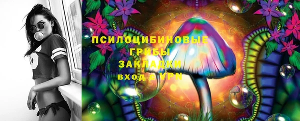 гашик Санкт-Петербург