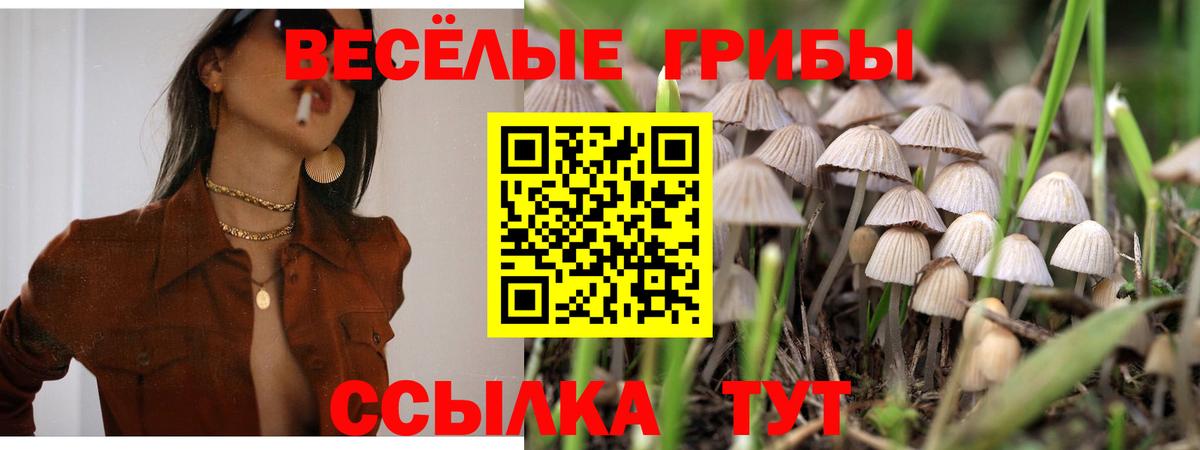 Чусовой  Псилоцибиновые грибы Magic Shrooms  Галлюциногенные грибы мухоморы  как найти закладки  Вход с VPN 