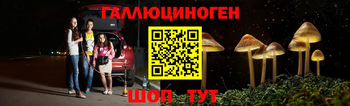 Псилоцибиновые грибы прущие грибы  Чусовой  Псилоцибиновые грибы мицелий 